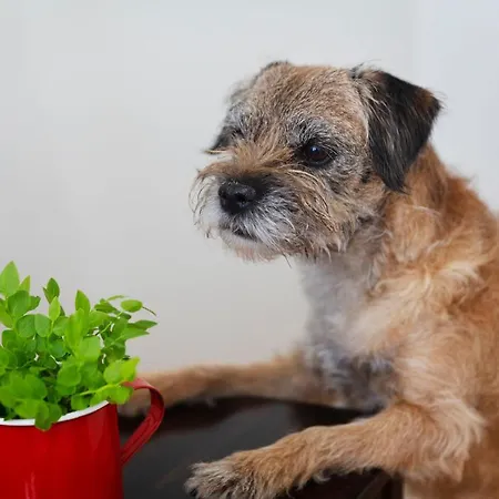 酒店 Lietsu Boutique - Lietsu