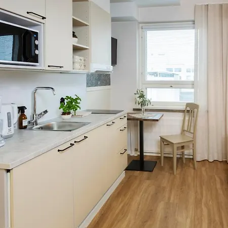 Lietsu Boutique - Huoneistohotelli Lietsu 4* 约恩苏